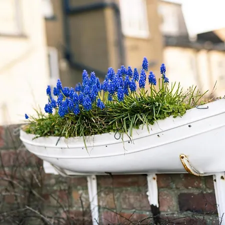 Maisies Retreat Scarborough